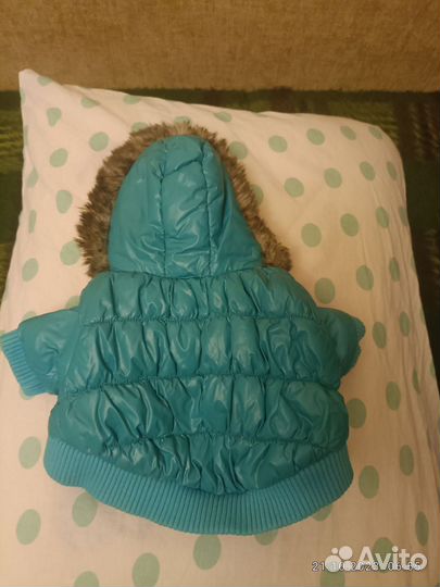 Одежда для маленьких собак