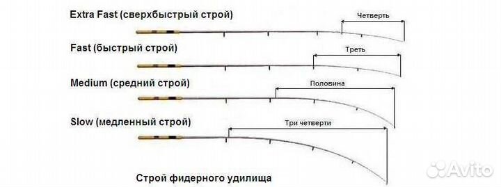 Теле карп для Сергея