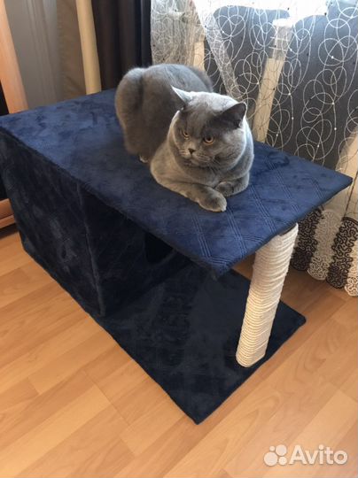 Когтеточка с домиком бу