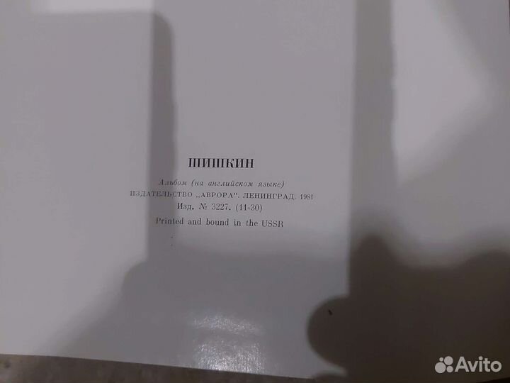 Шишкин на английском