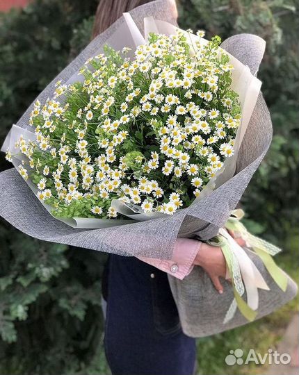 Букеты. Доставка ромашек