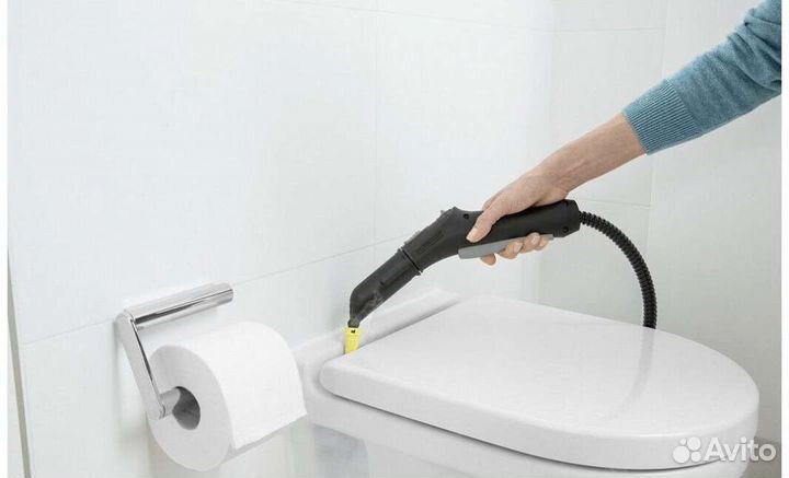 Парогенератор с утюгом и без Karcher аренда