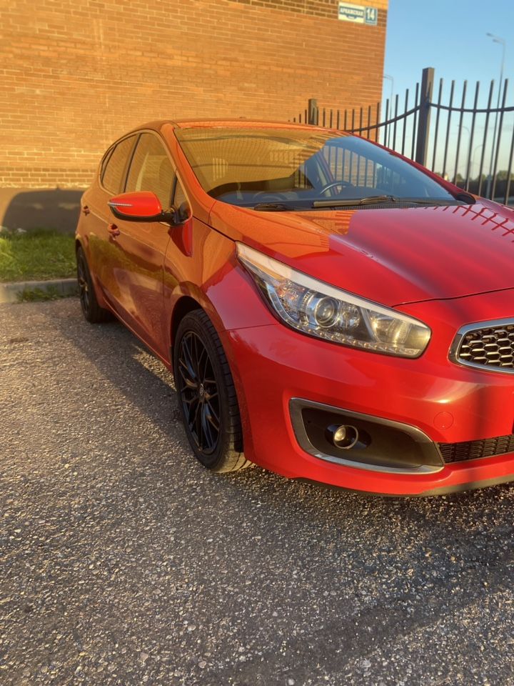Kia Ceed: фото владельца