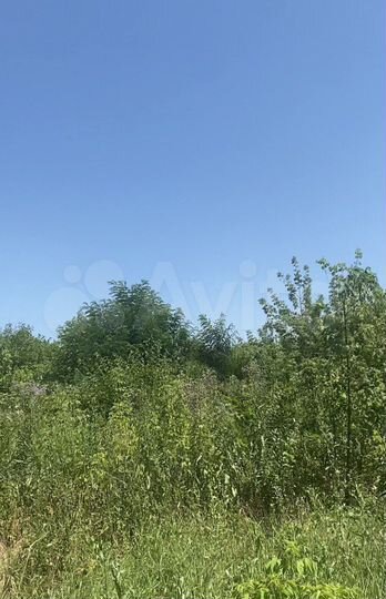 Участок 12 сот. (ИЖС)