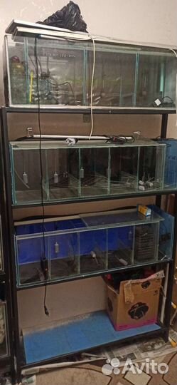 Аквариумные стойки 3шт. Профессиональные