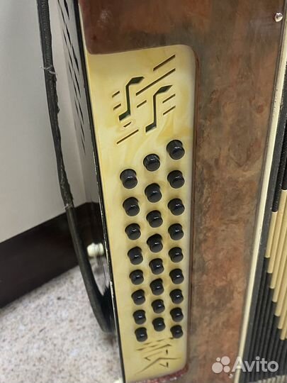 Гармонь чайка 2