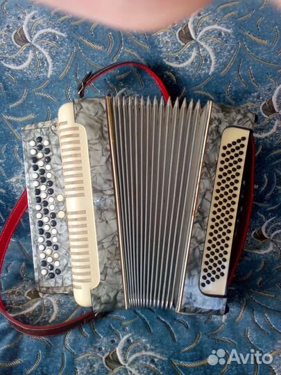 Баян немецкий