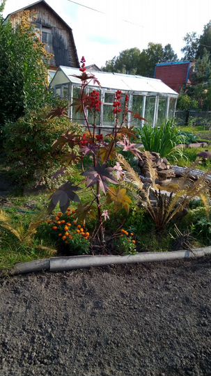 Участок 4 сот. (СНТ, ДНП)