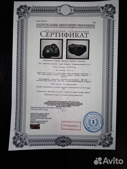 Метеорит NWA
