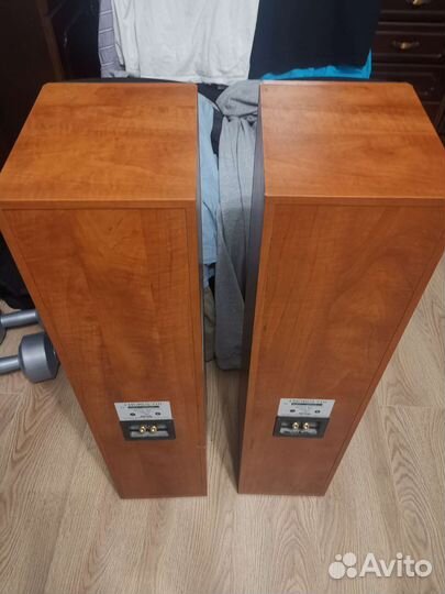 Колонки focal JM Lab chorus 710