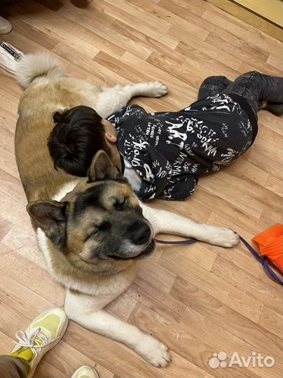 Консультация психолога