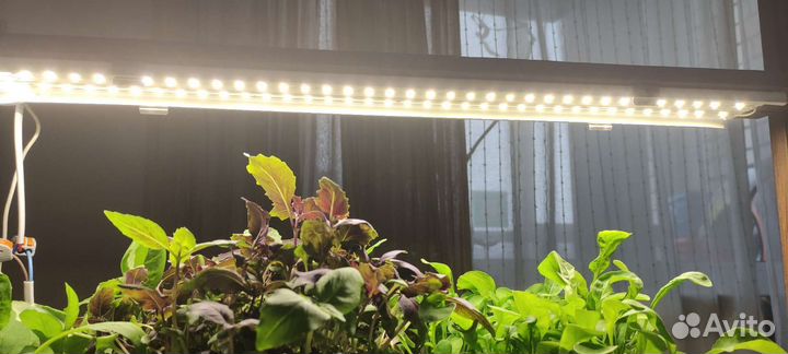 Фитолампа 18-72Вт 56см./115см