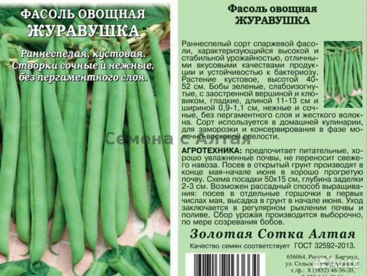 Рассада огурцов