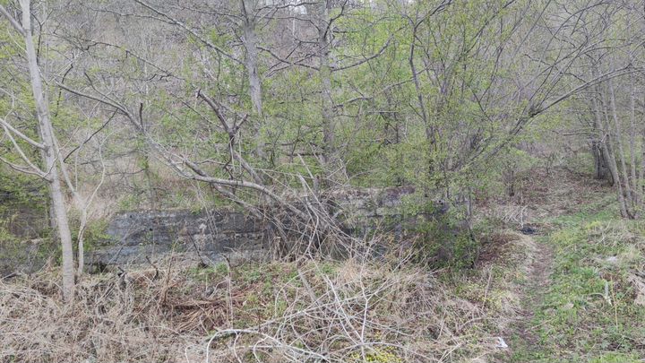 Участок 30 сот. (ИЖС)