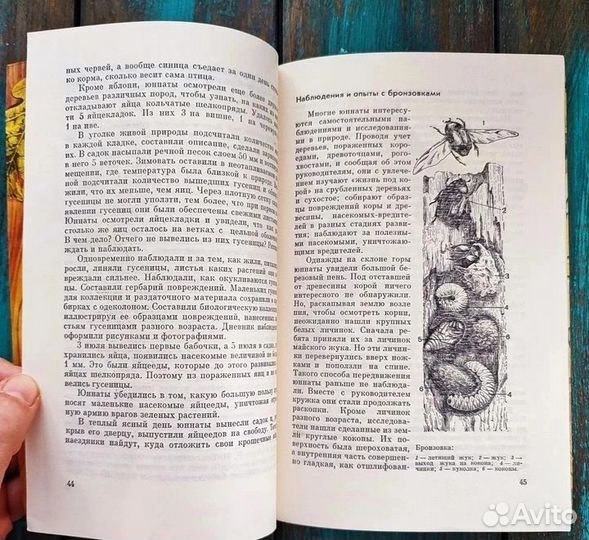 Насекомые друзья и враги деревьев и кустарников