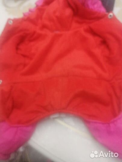 Одежда и обувь для йорка