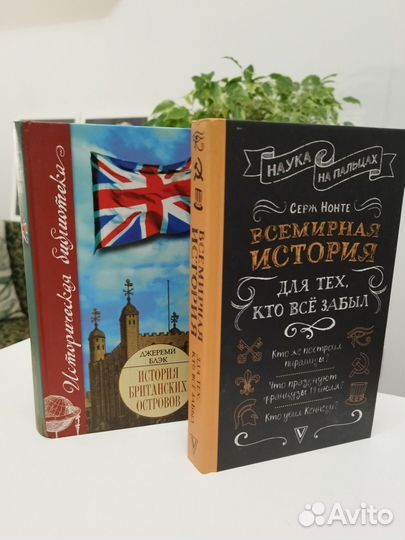 Две книги по истории, пакетом