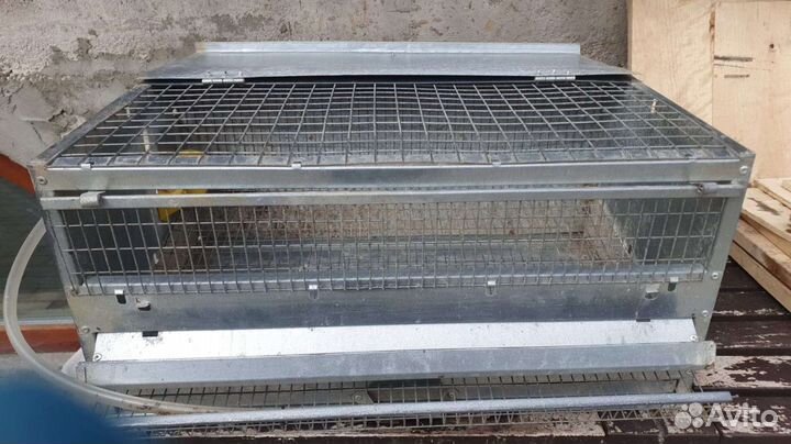 Клетка для перепелов (поилка, кормушка, поддон)