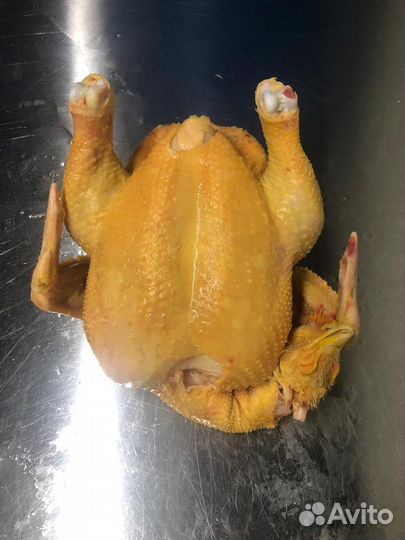 Тушка бройлера Халяль