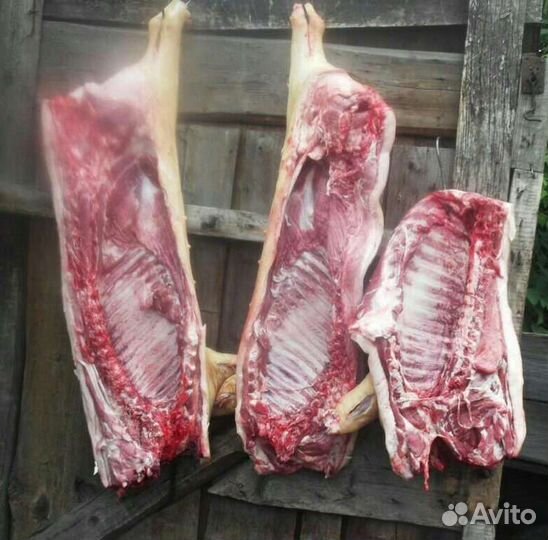Мясо от 10 кг а также есть шашлычный набор