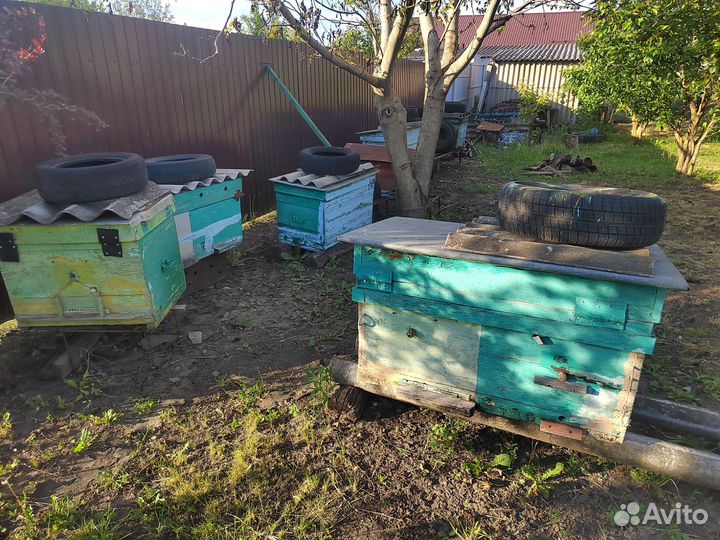 Ульи для пчел