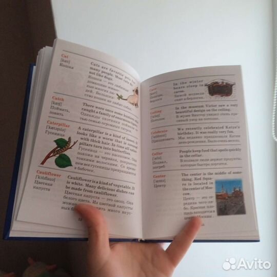 Детский англо-русский словарь в картинка (Шалаева)