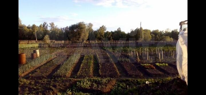 Дом 36 м² на участке 20 сот.