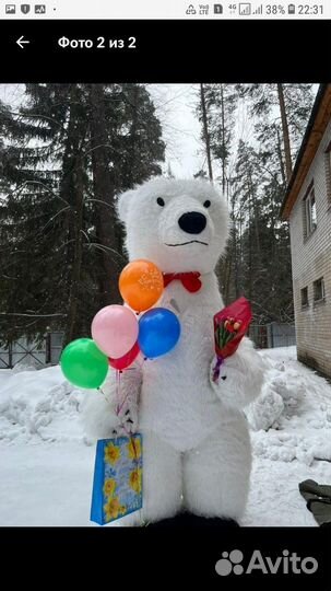 Белый мишка на праздник