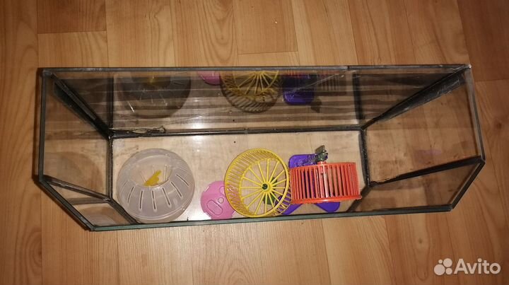 Аквариум с игрушками для хомяка
