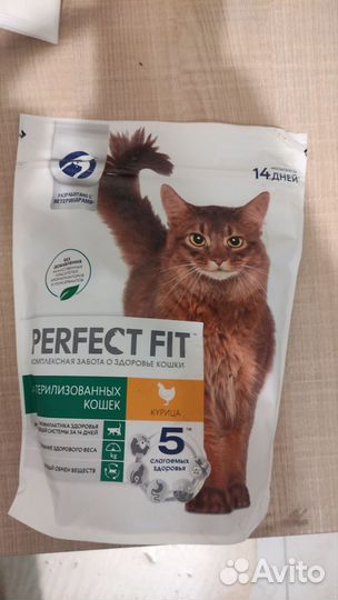Кошачий сухой корм