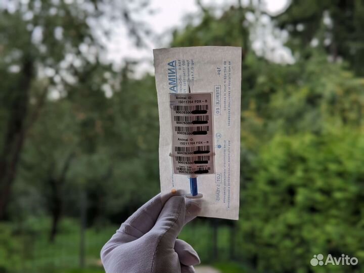 Чипирование Чип для животных 1.4х8 мм