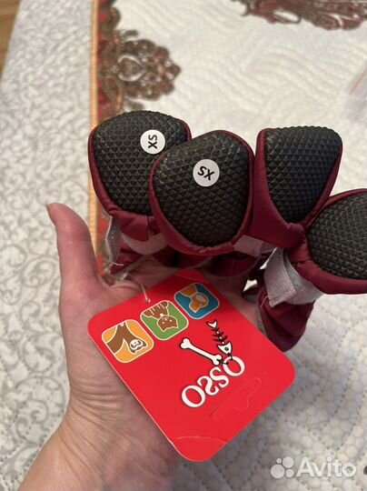 Сумка-переноска и обувь для собак