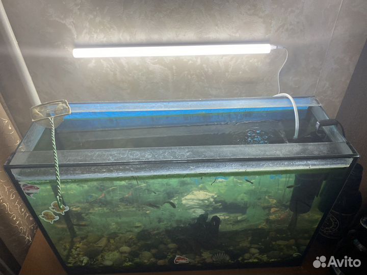 Аквариум с рыбками