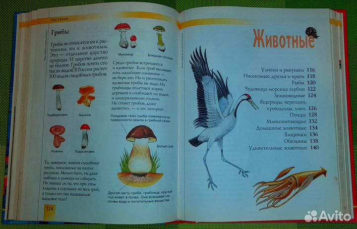 Моя первая энциклопедия + 130 вопросов