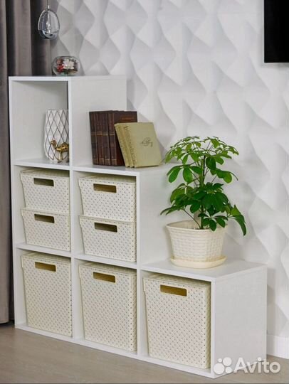 Шефлера 3 шт