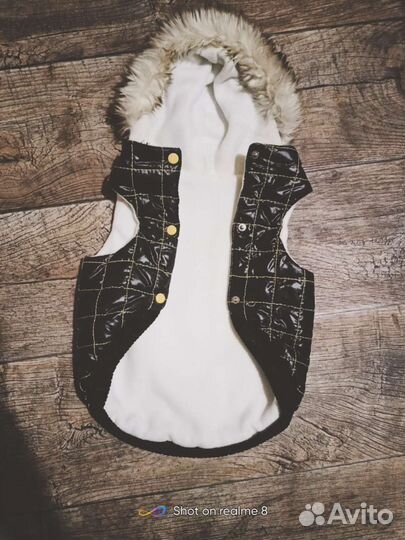 Одежда для собак