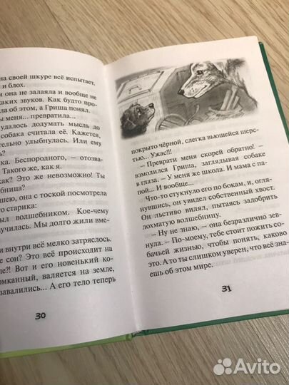 Собачья жизнь Гриши и Васьки