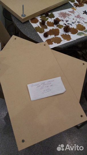 Гербарий для поделок. Пресс для гербария