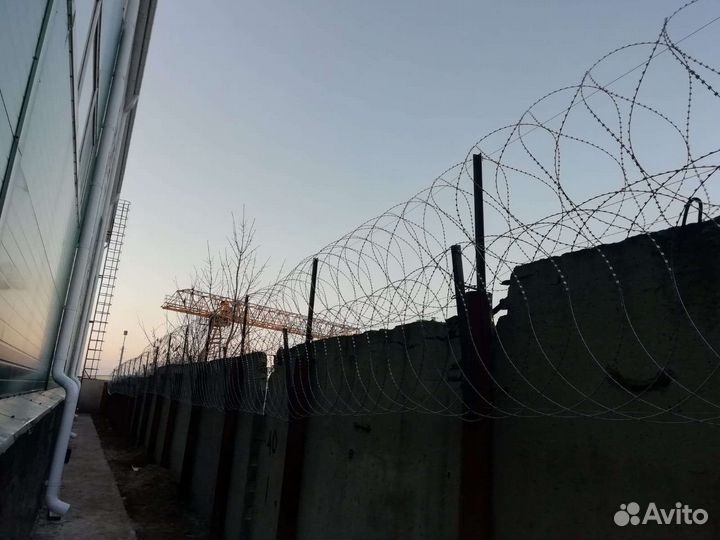 Охрана,Безопасность