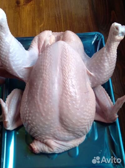 Мясо домашнего бройлера