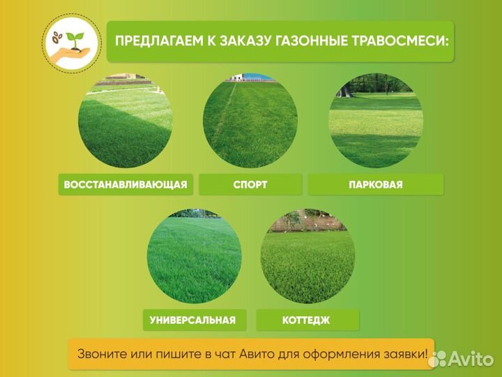 Семена Райграс