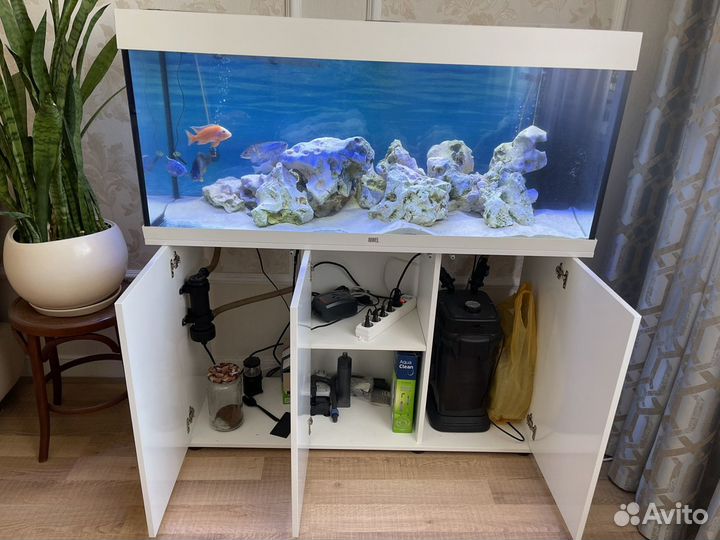 Аквариум с тумбой juwel на 240 литров