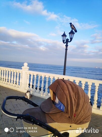 Коляска торг уместен