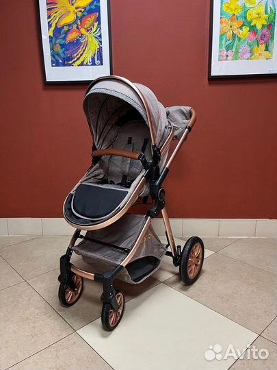 Детские коляски 2 в 1/3в1