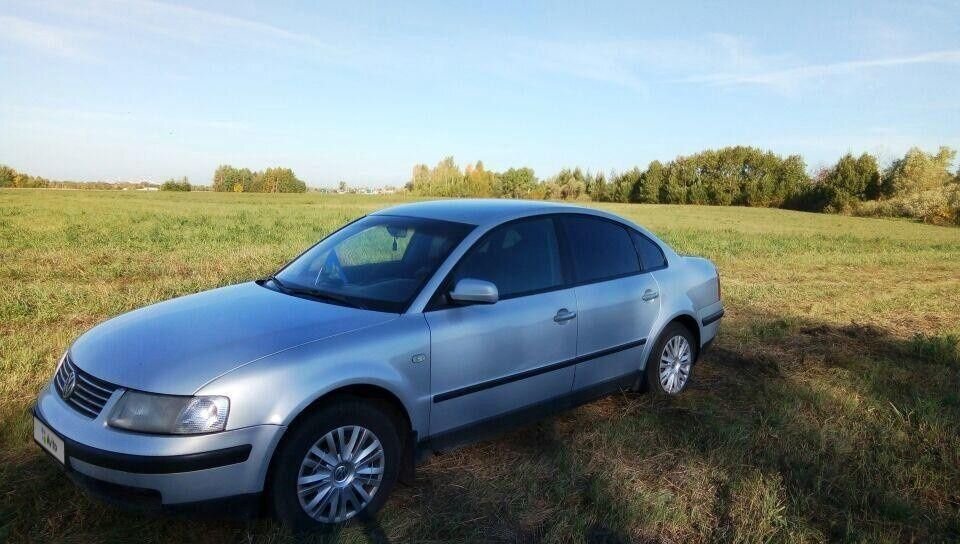 Volkswagen Passat: фото владельца