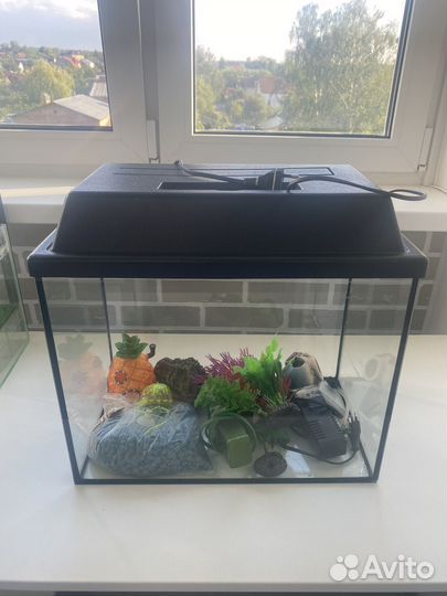 Аквариум