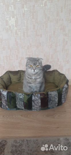 Лежанка для собак и кошек