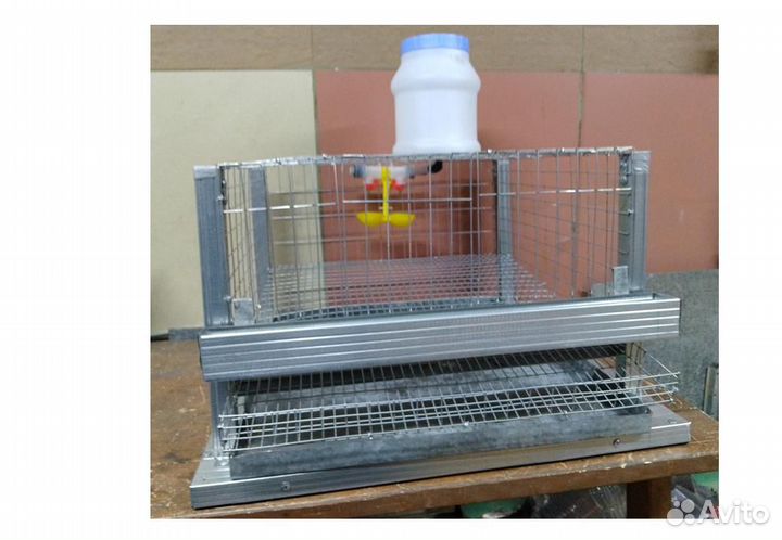 Клетки для перепелов