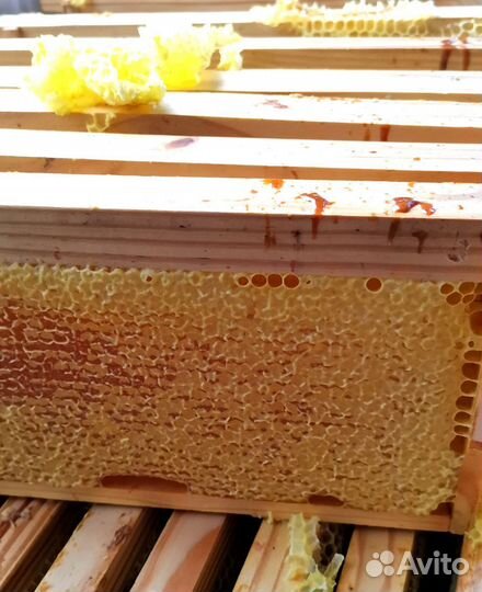 Мед в сотах с небольшой семейной пасеки