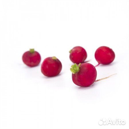 Семена Редиса 